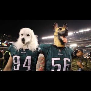 Meet your Posher, Sam